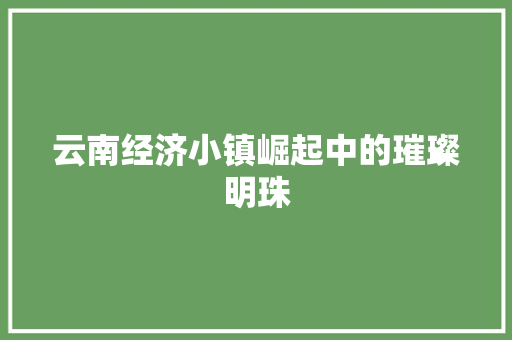 云南经济小镇崛起中的璀璨明珠 云南经济小镇崛起中的璀璨明珠