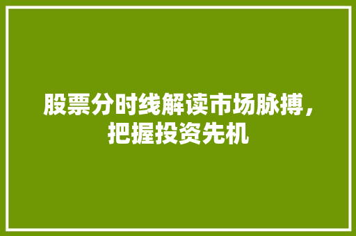 股票分时线解读市场脉搏,把握投资先机 股票分时线解读市场脉搏,把握投资先机