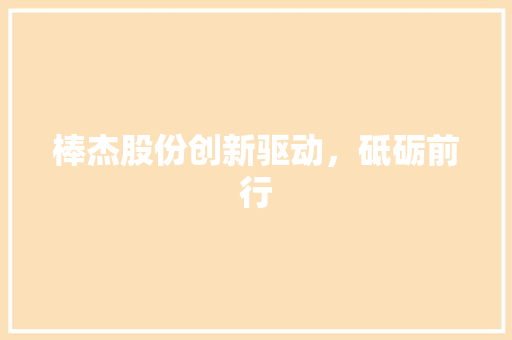 棒杰股份创新驱动,砥砺前行 棒杰股份创新驱动,砥砺前行