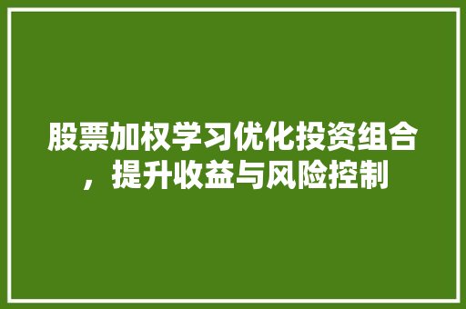股票加权学习优化投资组合,提升收益与风险控制 股票加权学习优化投资组合,提升收益与风险控制