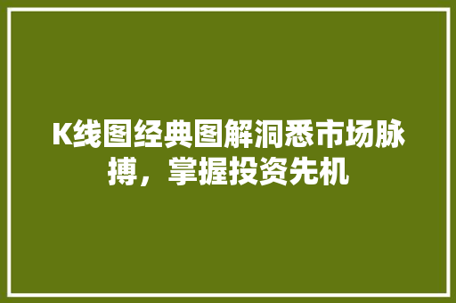 K线图经典图解洞悉市场脉搏,掌握投资先机 K线图经典图解洞悉市场脉搏,掌握投资先机