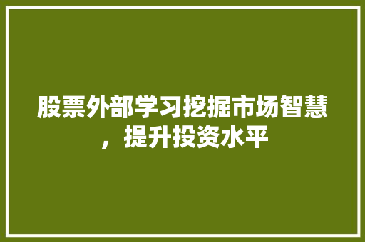 股票外部学习挖掘市场智慧，提升投资水平