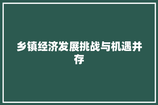 乡镇经济发展挑战与机遇并存 乡镇经济发展挑战与机遇并存