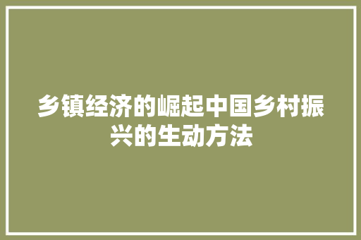乡镇经济的崛起中国乡村振兴的生动方法 乡镇经济的崛起中国乡村振兴的生动方法