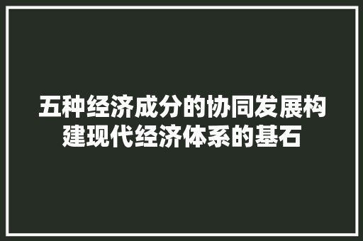 五种经济成分的协同发展构建现代经济体系的基石 五种经济成分的协同发展构建现代经济体系的基石