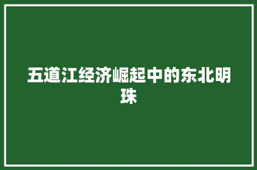 五道江经济崛起中的东北明珠 五道江经济崛起中的东北明珠