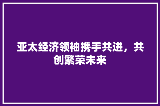 亚太经济领袖携手共进,共创繁荣未来 亚太经济领袖携手共进,共创繁荣未来
