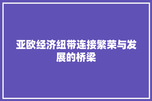 亚欧经济纽带连接繁荣与发展的桥梁 亚欧经济纽带连接繁荣与发展的桥梁