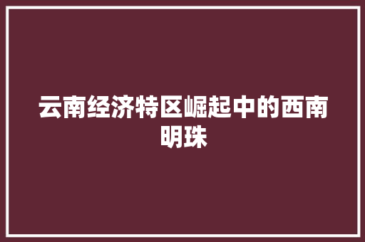 云南经济特区崛起中的西南明珠 云南经济特区崛起中的西南明珠