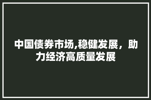 中国债券市场,稳健发展,助力经济高质量发展 中国债券市场,稳健发展,助力经济高质量发展