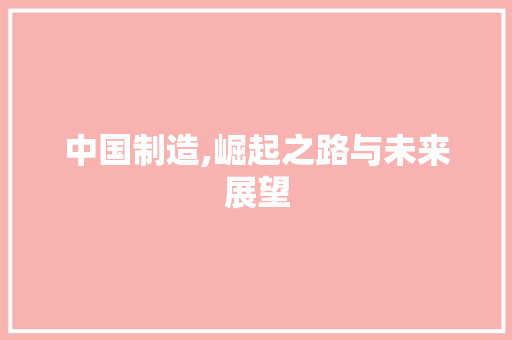 中国制造,崛起之路与未来展望 中国制造,崛起之路与未来展望