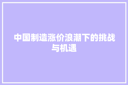 中国制造涨价浪潮下的挑战与机遇 中国制造涨价浪潮下的挑战与机遇