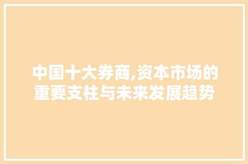 中国十大券商,资本市场的重要支柱与未来发展趋势 中国十大券商,资本市场的重要支柱与未来发展趋势