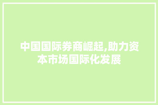 中国国际券商崛起,助力资本市场国际化发展 中国国际券商崛起,助力资本市场国际化发展