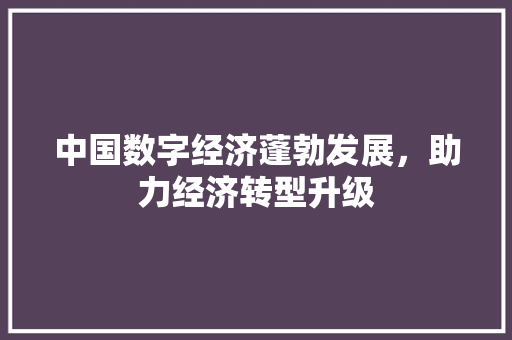 中国数字经济蓬勃发展,助力经济转型升级 中国数字经济蓬勃发展,助力经济转型升级