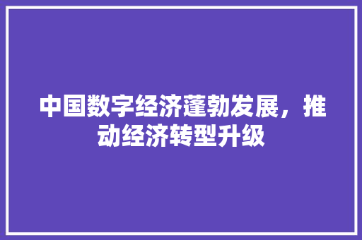 中国数字经济蓬勃发展,推动经济转型升级 中国数字经济蓬勃发展,推动经济转型升级