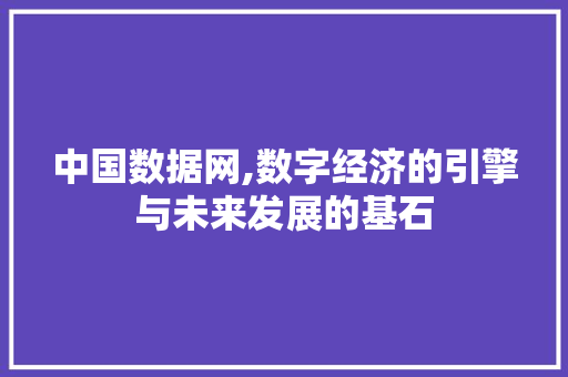 中国数据网,数字经济的引擎与未来发展的基石 中国数据网,数字经济的引擎与未来发展的基石