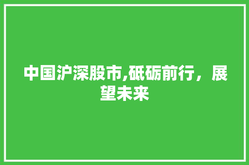 中国沪深股市,砥砺前行,展望未来 中国沪深股市,砥砺前行,展望未来