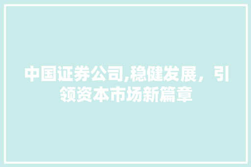 中国证券公司,稳健发展,引领资本市场新篇章 中国证券公司,稳健发展,引领资本市场新篇章