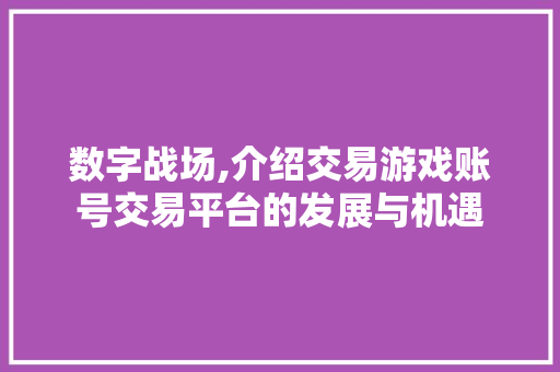 数字战场,介绍交易游戏账号交易平台的发展与机遇 数字战场,介绍交易游戏账号交易平台的发展与机遇
