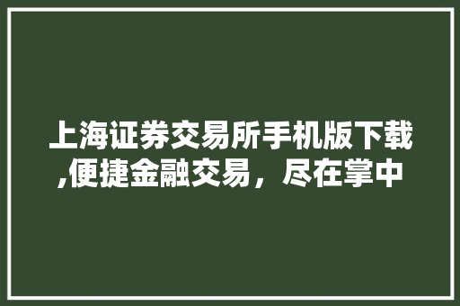 上海证券交易所手机版下载,便捷金融交易,尽在掌中 上海证券交易所手机版下载,便捷金融交易,尽在掌中