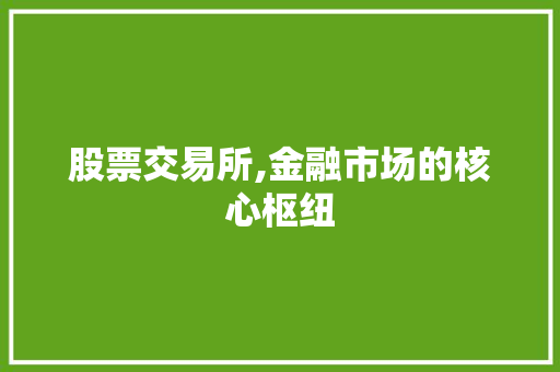 股票交易所,金融市场的核心枢纽 股票交易所,金融市场的核心枢纽