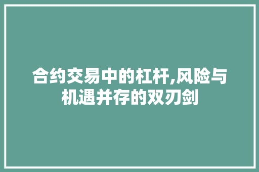 合约交易中的杠杆,风险与机遇并存的双刃剑 合约交易中的杠杆,风险与机遇并存的双刃剑
