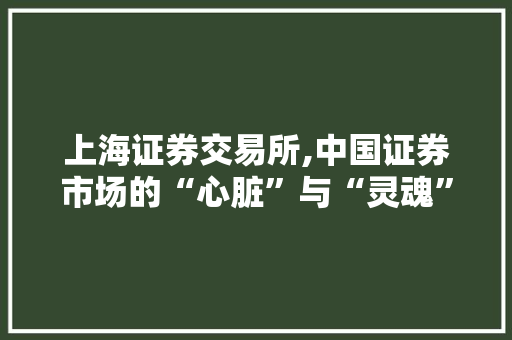 上海证券交易所,中国证券市场的“心脏”与“灵魂” 上海证券交易所,中国证券市场的“心脏”与“灵魂”