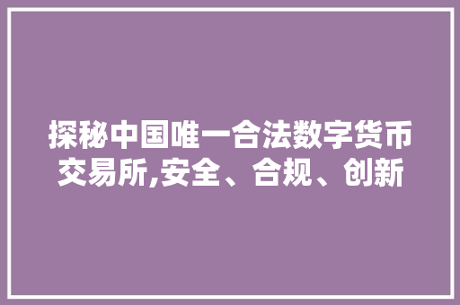 探秘中国唯一合法数字货币交易所,安全、合规、创新引领行业发展 探秘中国唯一合法数字货币交易所,安全、合规、创新引领行业发展