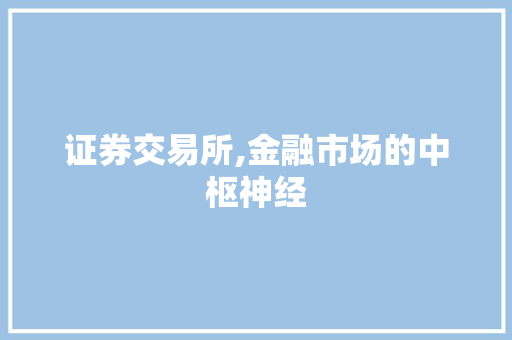 证券交易所,金融市场的中枢神经 证券交易所,金融市场的中枢神经