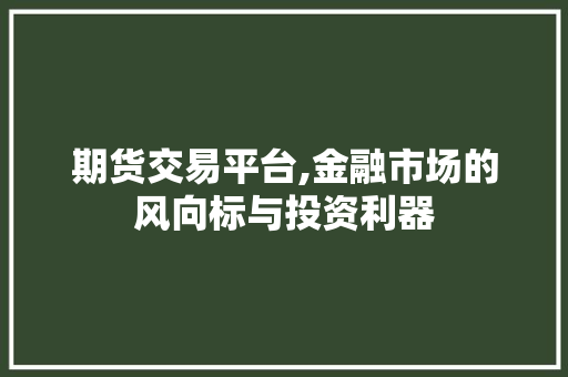 期货交易平台,金融市场的风向标与投资利器 期货交易平台,金融市场的风向标与投资利器