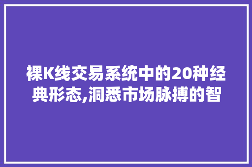 裸K线交易系统中的20种经典形态,洞悉市场脉搏的智慧之眼