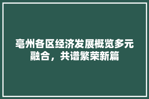 亳州各区经济发展概览多元融合,共谱繁荣新篇 亳州各区经济发展概览多元融合,共谱繁荣新篇