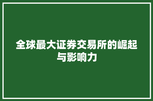 全球最大证券交易所的崛起与影响力 全球最大证券交易所的崛起与影响力