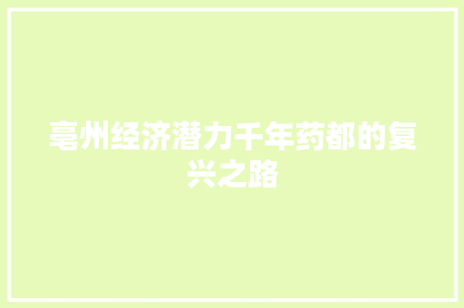 亳州经济潜力千年药都的复兴之路 亳州经济潜力千年药都的复兴之路