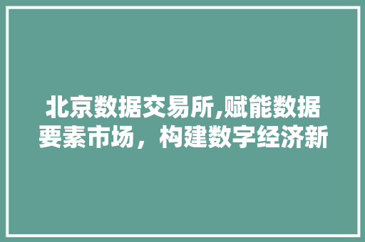 北京数据交易所,赋能数据要素市场,构建数字经济新生态 北京数据交易所,赋能数据要素市场,构建数字经济新生态