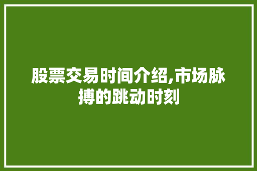 股票交易时间介绍,市场脉搏的跳动时刻 股票交易时间介绍,市场脉搏的跳动时刻