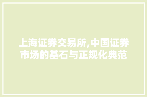 上海证券交易所,中国证券市场的基石与正规化典范