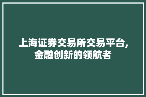 上海证券交易所交易平台,金融创新的领航者 上海证券交易所交易平台,金融创新的领航者