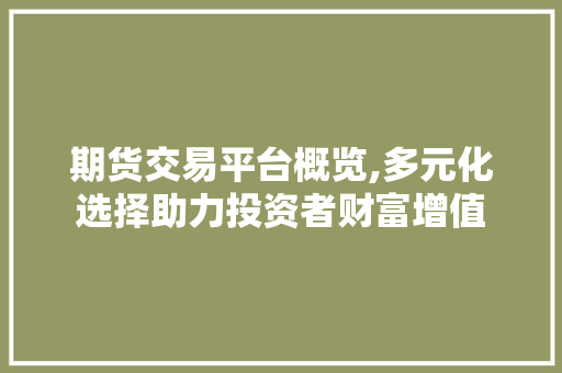 期货交易平台概览,多元化选择助力投资者财富增值 期货交易平台概览,多元化选择助力投资者财富增值