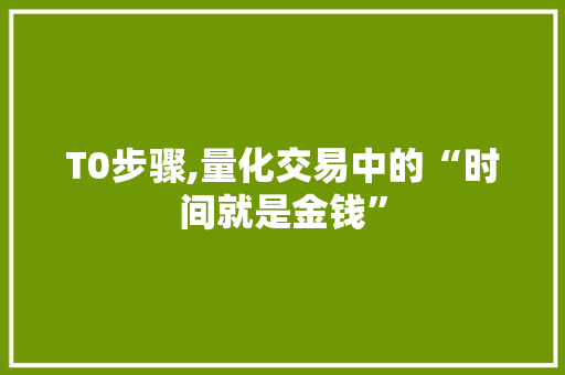 T0步骤,量化交易中的“时间就是金钱”