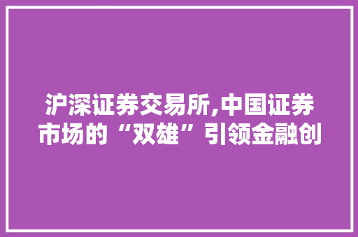 沪深证券交易所,中国证券市场的“双雄”引领金融创新与发展 沪深证券交易所,中国证券市场的“双雄”引领金融创新与发展