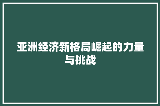 亚洲经济新格局崛起的力量与挑战 亚洲经济新格局崛起的力量与挑战