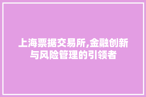 上海票据交易所,金融创新与风险管理的引领者 上海票据交易所,金融创新与风险管理的引领者