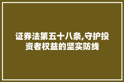 证券法第五十八条,守护投资者权益的坚实防线
