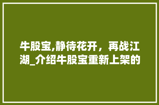 牛股宝,静待花开，再战江湖_介绍牛股宝重新上架的背后