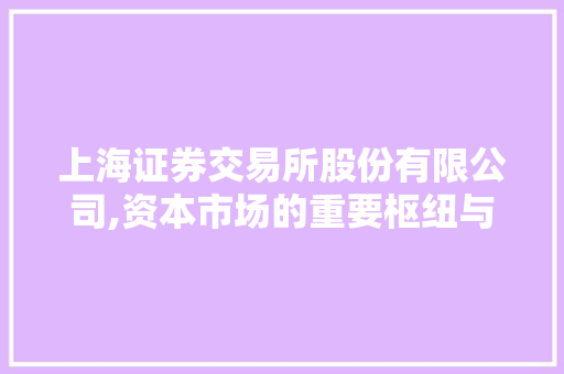 上海证券交易所股份有限公司,资本市场的重要枢纽与金融创新的引领者