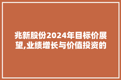 兆新股份2024年目标价展望,业绩增长与价值投资的完美结合