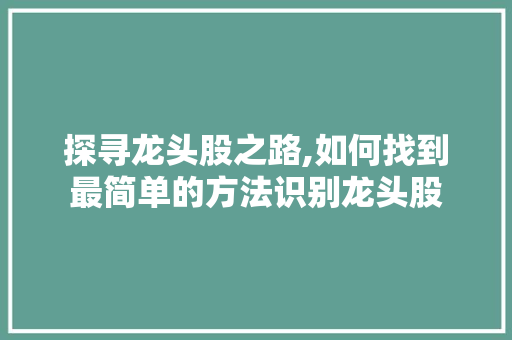 探寻龙头股之路,如何找到最简单的方法识别龙头股
