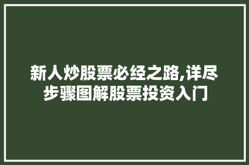 新人炒股票必经之路,详尽步骤图解股票投资入门
